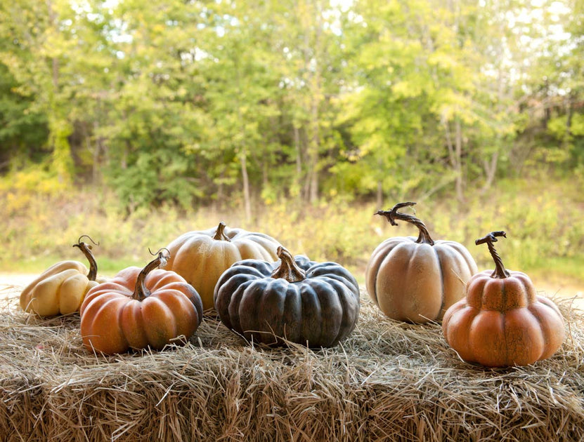 P&J Fragrance Oil Halloween Set, Autumn Wreath, Pumpkin Pie, Candy  Corn