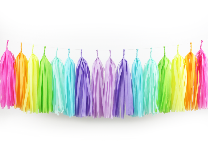 Rainbow tassel hot sale garland